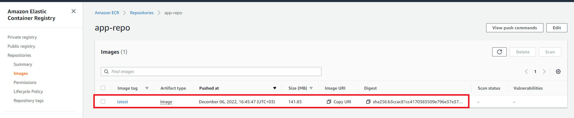 AWS ECR image