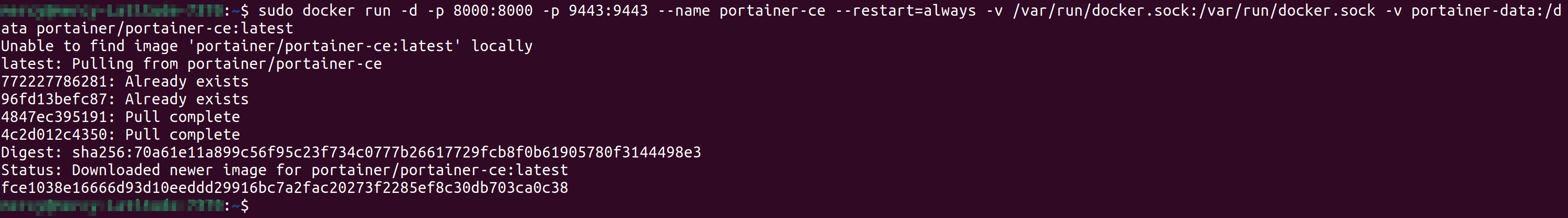 Creating and running portainer as a docker container.