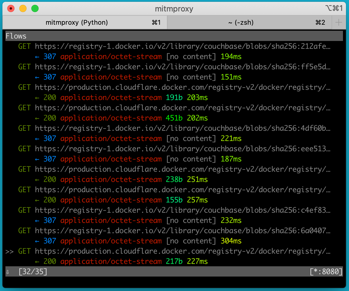 mitmproxy request for docker.io