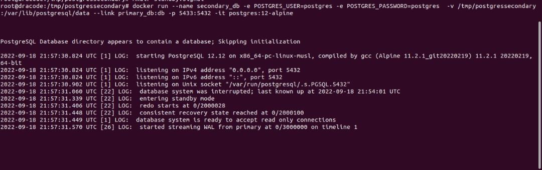 secondary db docker output