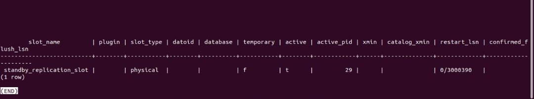 successful replications lot output