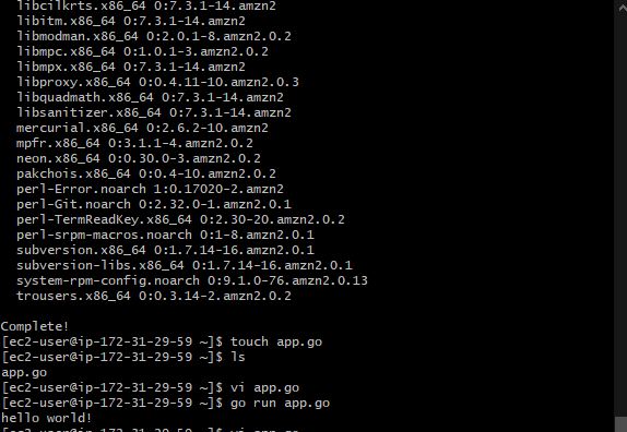 “hello world!” displayed in the EC2 shell